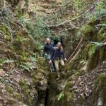 Tracker Forêt Esc Femmes Fougère – Image 9